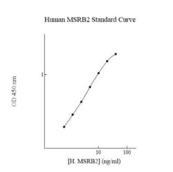 Novus Biologicals&trade;&nbsp;Human MSRB2 ELISA Kit (Colorimetric)